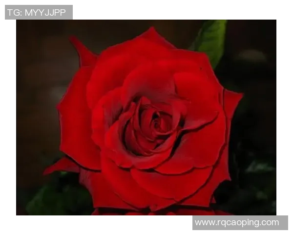 俞长栋：从平凡到卓越的奋斗历程与人生智慧分享